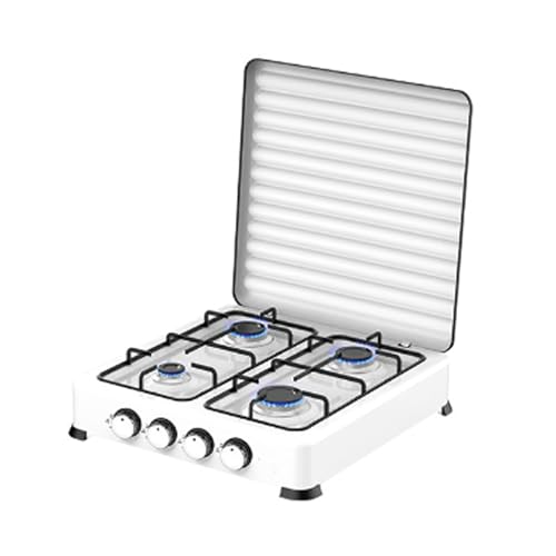 Cocina Camping Gas 2 Fuegos Marca WUDLi