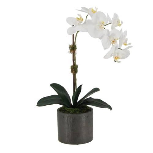 Image of CG Hunter, Faux Phalaenopsis White Orchid Plant, 21 in, White, Home Decor