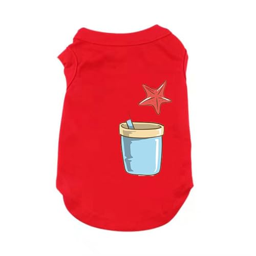 [XZVGJ] ybg M Ȃ ʋC t H _炩 Vc L   킢 ^ ^ pW} Lm _炩 ̕ Ȃ lC  t@bV ʋC ₩ LOBe U [΍