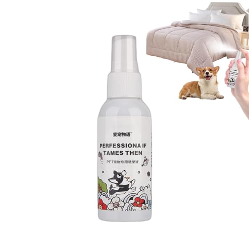 Anulely Go Here Hundetöpfchen-Trainingsspray - 50 ml natürliches Hunde-PIPI-Spray - Welpen-Töpfchen-Trainingsspray für Hunde und Welpen, REGT den Hund zum Pinkeln an Einer Stelle an, für den Innen Anulely Go Here Hundetöpfchen-Trainingsspray - 50 ml natürliches Hunde-PIPI-Spray - Welpen-Töpfchen-Trainingsspray für Hunde und Welpen, REGT den Hund zum Pinkeln an Einer Stelle an, für den Innen