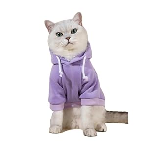 QWINEE Basic Dog Hoodie, Dog Warm Jacket, Cat Apparel, Dog Shirt, Dog Clothes for Puppy Kitten Small Medium Dogs Cats Mauve Purple XS