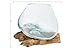 Creative Co-Op Decorative Glass Planter on Wood Base, Clear and Natural