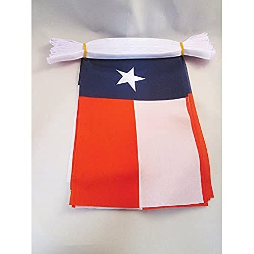 Image of AZ FLAG Texas 6 meters BUNTING Flag 20 flags 9'' x 6'' - Texan US state STRING flags 15 x 21 cm