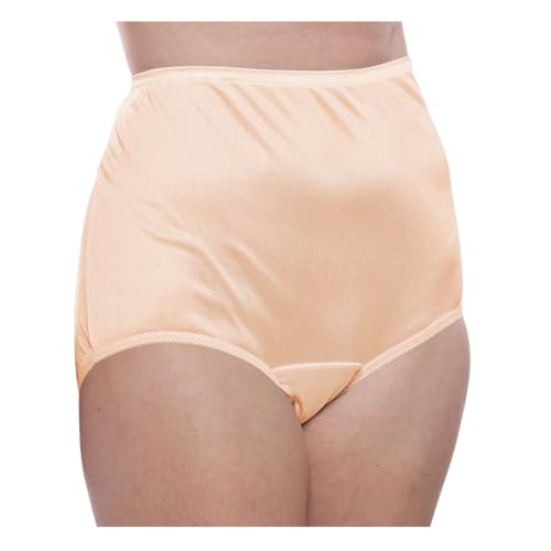 Image of Teri Women's 331 Plain Jane Classic Nylon Silky-Smooth Lightweight Breathable Full Coverage Brief Panty - 4 Pack