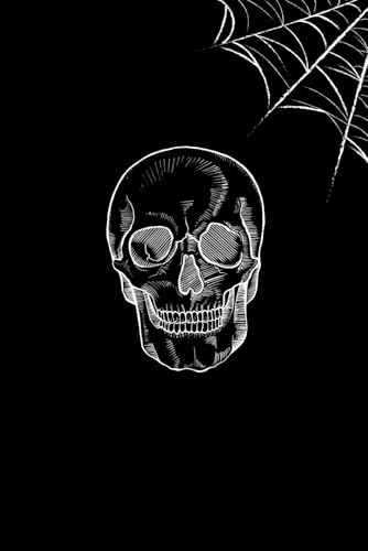 Skull Diary - Goth journal - Shadow work - Composed lined notebook, School 6x9: Emo Aesthetic