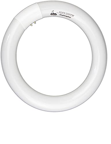 Chkadawa Fc8T9/Cw Circular Fluorescent Light Bulb, 8 Inch Circline T9 22W Lamp Tube Replacement For Round Ceiling Fixture, Ring Cool White Bulb 4100K 1350 Lumens, G10Q 4 Pin Base, 2 Pack #TOP2