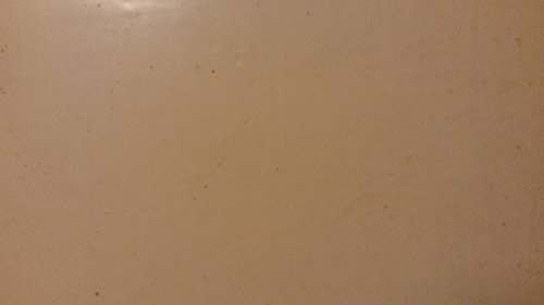 Brücke zwischen Diesseits und Jenseits. Theorie und Praxis der Transkommunikation