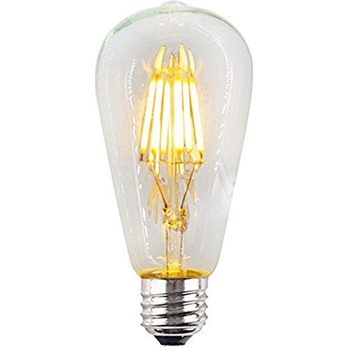 ZZ Lighting 6W LED Dimmable Filament Vintage Edison Light Bulb 60W Incandescent Bulb Equivalent 2700K 480LM E26 Base(6W,1Pack)
