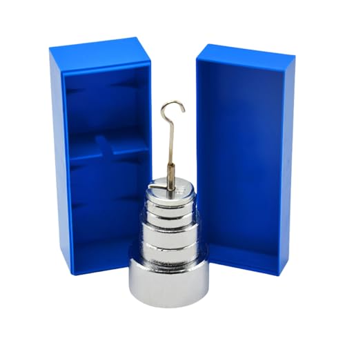 Precisions Weight For Laboratory Physics Use Slotted Mass 6 Weights Total 350g Metal Slotted Weights With Hanger & Case
