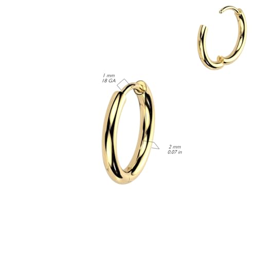 18GA F-136 Implant Grade Titanium 2mm Thick Hinged Round Hoop Earrings, Sold as a Pair2