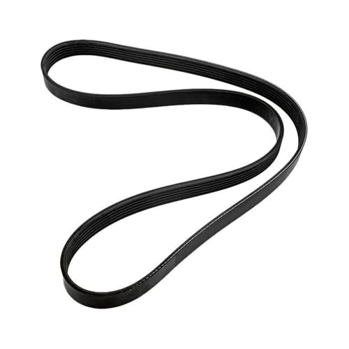 Courroie Serpentine pour Moteur Hors-Bord V6 V8 Alpha Bravo 57-862087A1