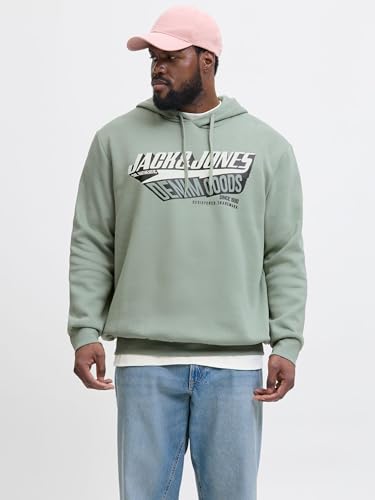 JACK & JONES JJELOGO Sweat Hood 2 COL 24/25 NOOS – Ansicht 2