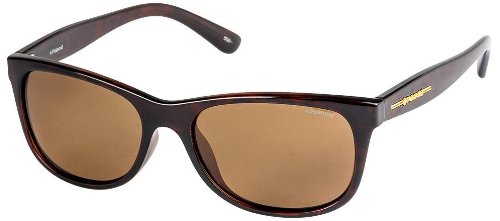 Buy Polaroid Wayfarer Sunglasses (Brown) (P8326B) at Amazon.in