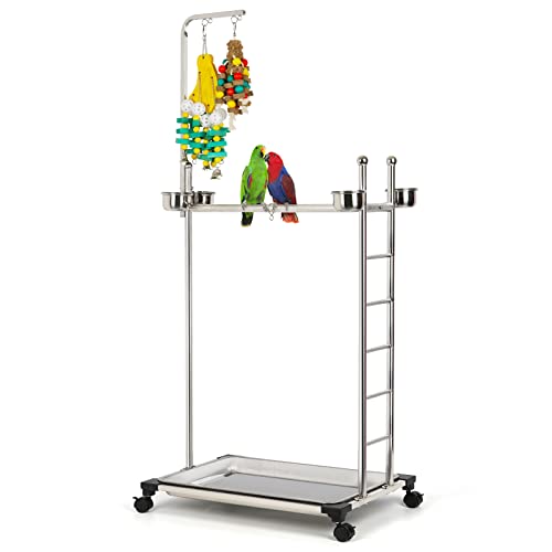 Olpchee Stainless Steel Large Parrot Stand,Bird Play Stand Parrot Playstand Parrot Training Perch Stand With Feeding Bowls,Height 57 Inch (Including Toys) #TOP13