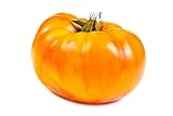 Semillas Tomate Piña (Pineapple) – gran variedad antigua de tomate carnoso | dulce y afrutado, carne moteada amarillo-naranja | 25 semillas | cultivo bajo invernadero | love my Nature
