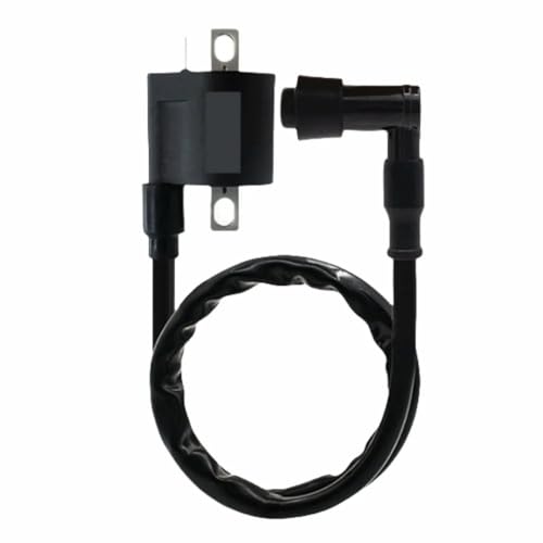 Bobine d'ignition charbon haute résistance pour motorisation quad 250cc