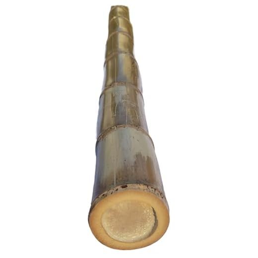 Large Diameter Natural Bamboo Poles