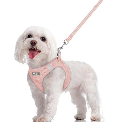 Image of rabbitgoo Dog Harness Medium Sized and Leash Set, Step-in Puppy Pet Vest