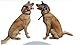YJZQ Visier für Hunde, Baseballmütze, Hund, Baseball, verstellbar, mit Ohrlöchern, Sonnenhut für große Hunde, Größe L, Kaffeeblau