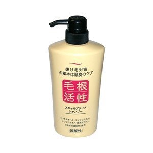 Amazon | ジュン・コスメティックスキャルプクリア シャンプー 550ml