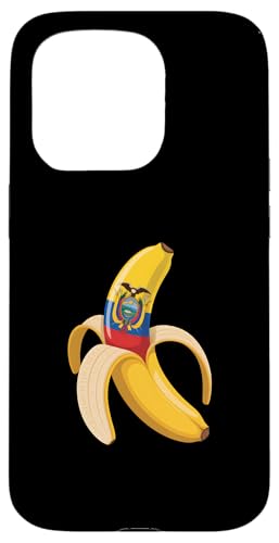 GNAhoii X}zP[X iPhone 15 Pro p