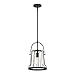 DESIGNERS FOUNTAIN Alba 1-Light Pendant, Matte Black, D234M-10P-MB