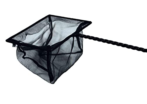 Amtra A6000990 Kescher Schwarz, 8 cm.