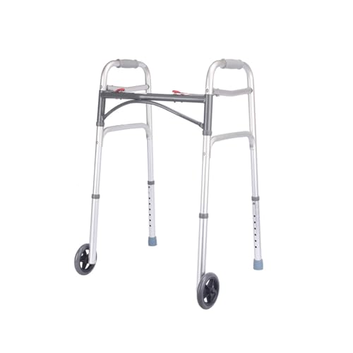 s 艟ԘVl Qҗps⏕ ܂肽݉\ ҕs Ҍs⏕ ߉\ A~jEf P/(P)