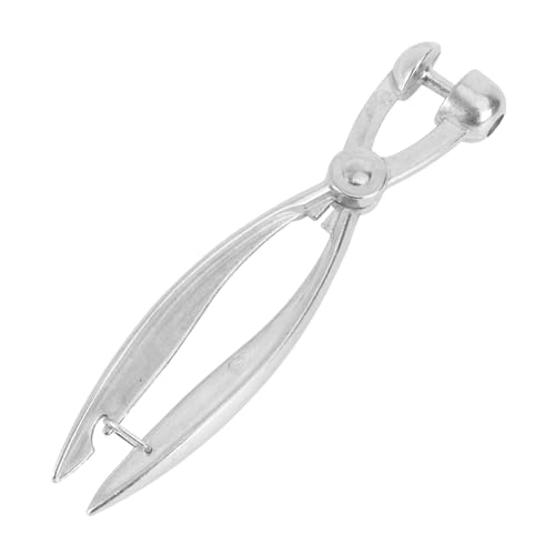 KICHOUSE Simple Fruit Corer Cherry and Date Kernel Remover for Kitchen Gadget Enthusiasts