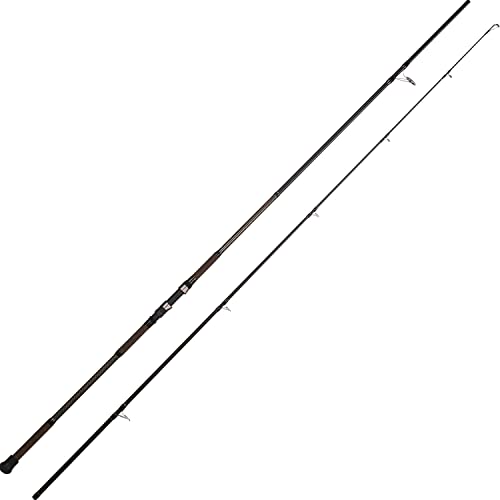 Image of BERRYPRO Surf Rod Pure Carbon Surf Spinning Rod Graphite Surf Fishing Rod (9' /10' /11' /12') (9'-Spinning-2pc)