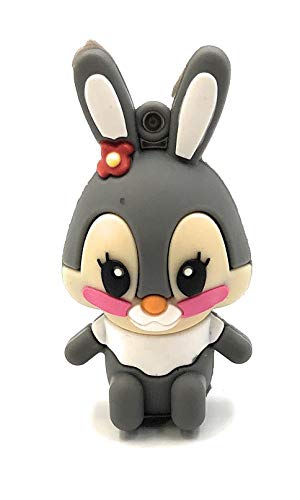 Onwomania Mignon Lapin de Pâques Gris Lapin de Pâques Clé USB Amusante 8 Go USB 2.0 Support de données USB