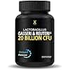 HUMANX Lactobacillus Gasseri & Reuteri+ 20 Billion CFU Plus Organic Prebiotics and Punicaligans - Probiotic Supplements - USA Made - Non-GMO - Performance Driven Delayed Release Capsule