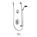 Moen T8341 Commercial Posi-Temp Pressure Balancing Tub/Shower System 2.5 gpm, Chrome