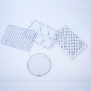 655970 Clear Polystyrene Cell-Repellent Microplate with Lid, Sterile, Flat Bottom, Chimney Style, 96 Well Pack of 6
