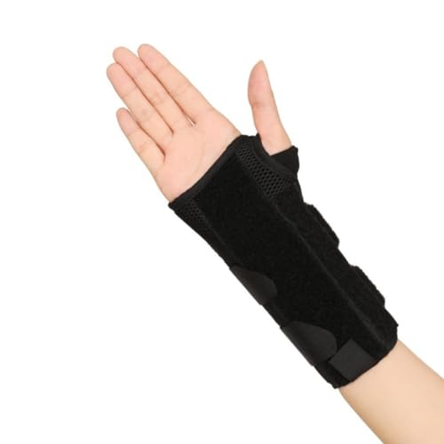 ŒT|[^[ ʋCbV  Ep ubN/O[ Iׂ^ X|[cEnrΉ (WI E)