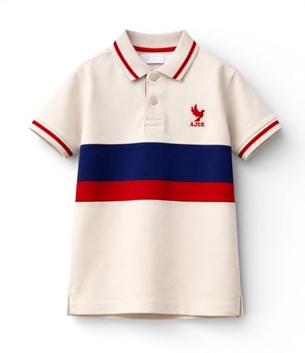 Image of Alan Jones Clothing Boy's Cotton Regular Fit Colorblock Polo Neck T-Shirt