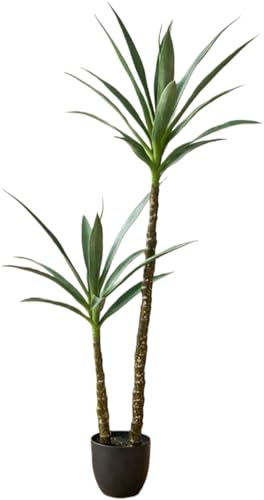 Dohera tFCNO[ϗtA lH tFCNc[ hZitFCNvg z[fR[V vX`bN k y ȒP sv ͂Ȃ CeA ƒp ItBX Ɩp oRj[ (ubNxCX 1.