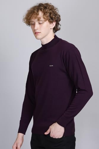 Image of GODFREY Woolen Full Sleeve Sweaters for Men Winter Wear - Turtle Neck Pullover for Men Stylish