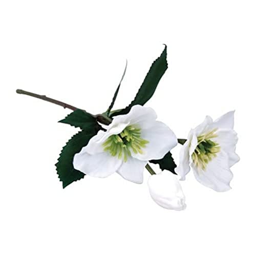 Rayher Christmas Rose w.2 Blossoms & 1 Bud, White, 34cm, 55948102, 34 cm