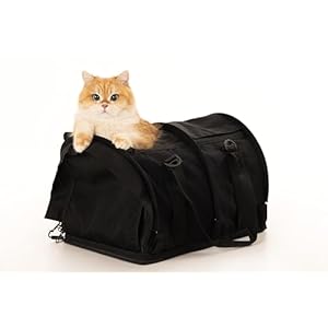 SturdiBag Pro 2.0 Pet Travel Carrier with Flexible Height for Cats and Dogs | Soft Sided Pet Carrier Bag with Safety Clips and Seatbelt Straps for Airplane or Car Travel | Large, Black (Black, Large)