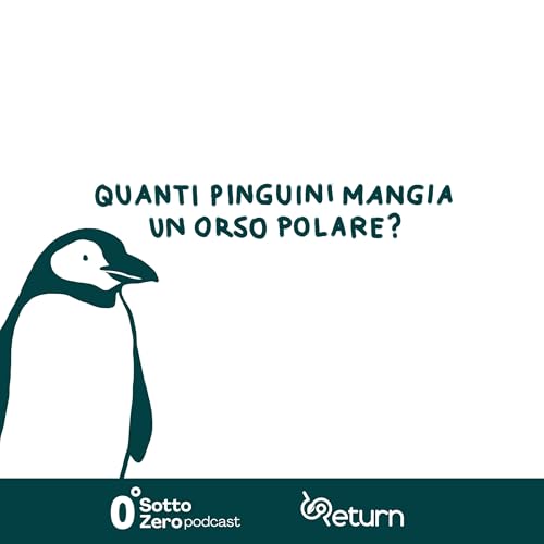 Quanti pinguini mangia un orso polare? - Trailer