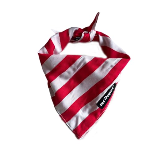 Leconpet  o_i gCAO o[Vu ybg XJ[t ^  ^p \tg v n X^CbV q L o_i 悾ꂩ (bhXgCvALTCY)