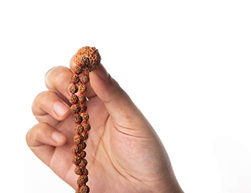 Wonder Care Original Nepali Rudraksha Bead and Rudraksha Mukhi Mala Natural Rudra Religious Rosary Beads Japa Mala Rudraksha for Men and Women