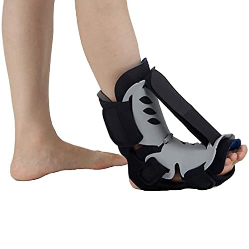 ؖiCgXvg]|񑫐`OȃPAؖqlnre[VXvg