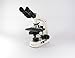 Meiji Techno MT5210H LED Binocular Brightfield/Phase Contrast Microscope