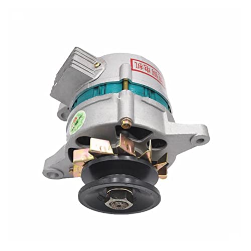 Power Station, Generador Lámpara de Carga AC/DC 12v Vehículo Agrícola Triciclo CopperTractor Doble Uso Magnet, para Exterior (1000W doble rueda) miniatura 5