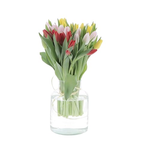 KENTIS - Bouquet di 30 Tulipani Freschi Rosa Gialli e