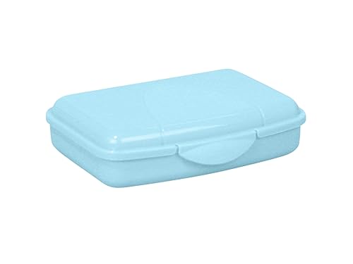 Lomatek Vesperdose 0,5l Helltürkis – BPA-freie Brotdose aus...