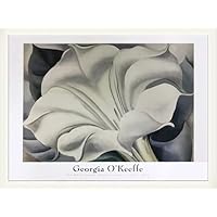 Amazon.co.jp: ポスター ジョージア オキーフ The White Flower 額装品