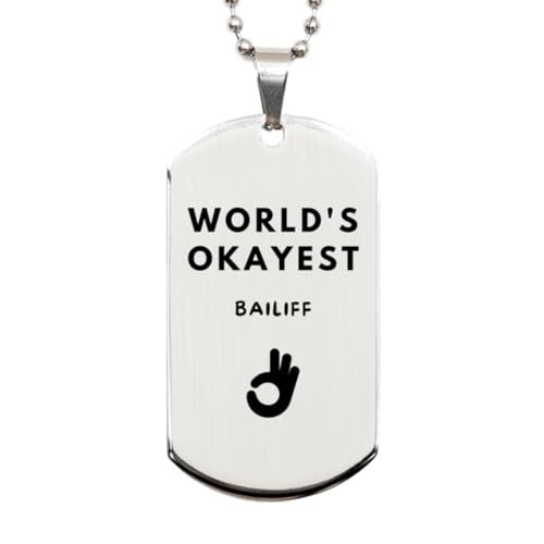Valentine's Day Unique Gifts for Bailiffs, Funny Gifts from Coworkers, World's Okayest Bailiff Dog Tag Gifts